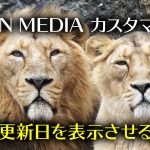 【WordPress：LION MEDIA】今更ながら更新日を表示させてみた